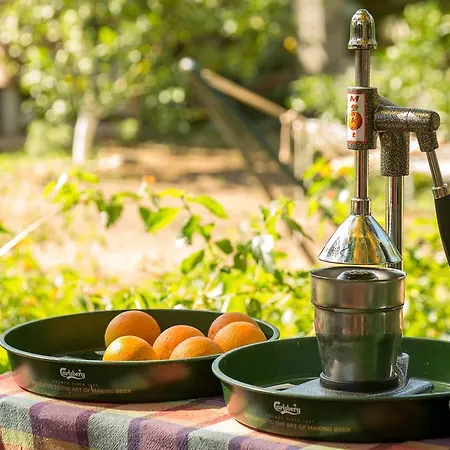 Kemping Secret Garden & Çıralı