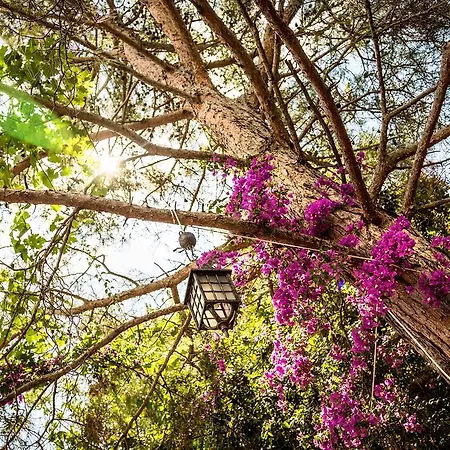 Campeggio Secret Garden &