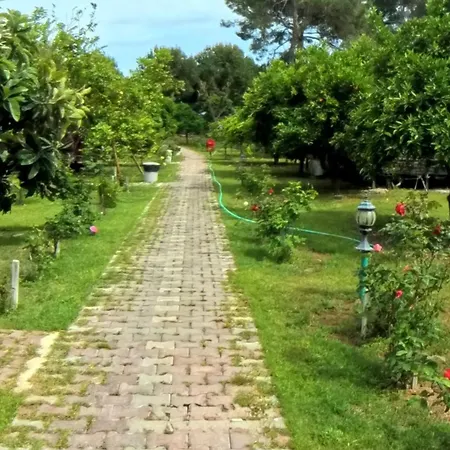 Secret Garden & Campeggio